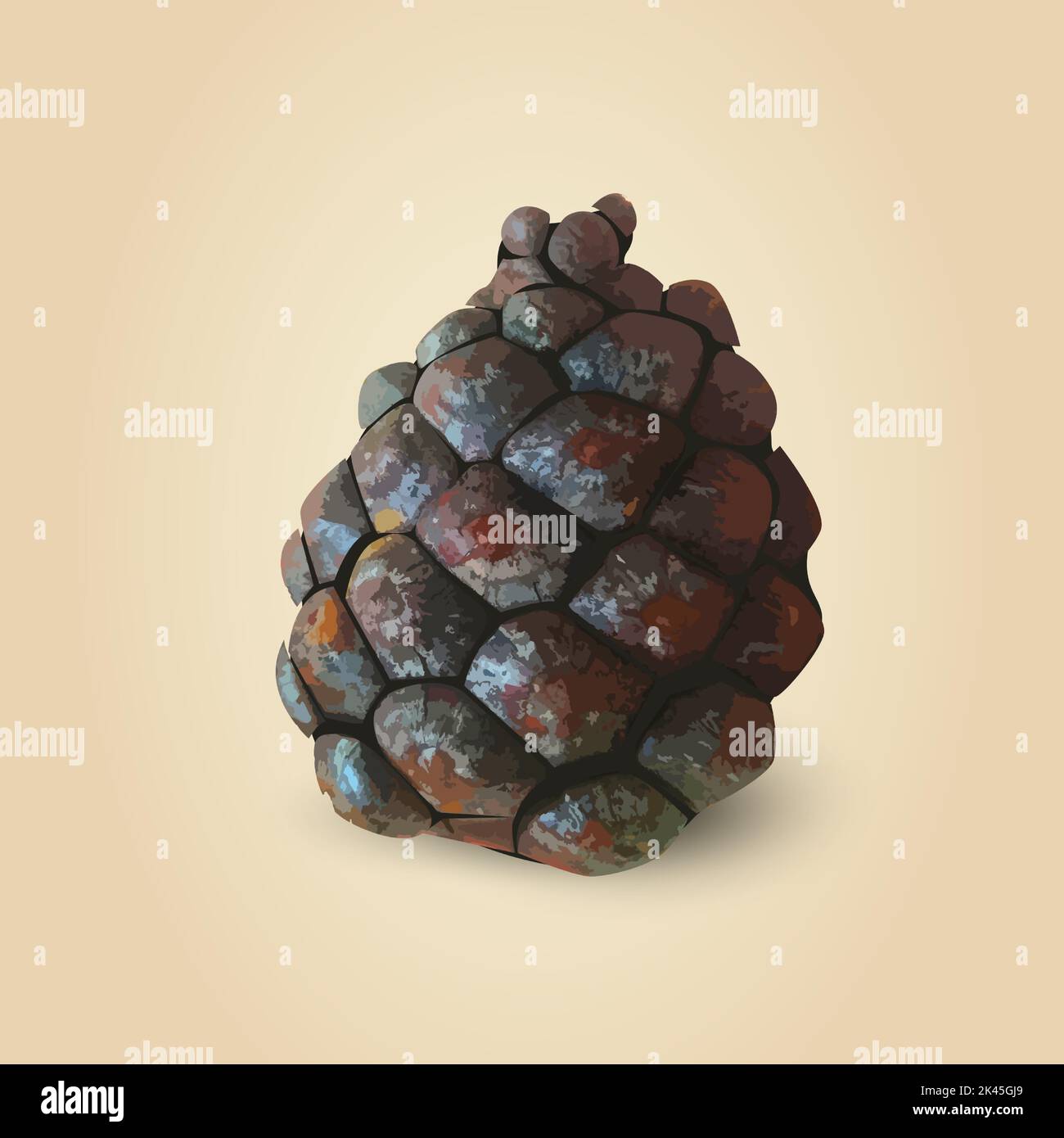 Realistic Pine Cone, isolated vector illustration Stock Vector
