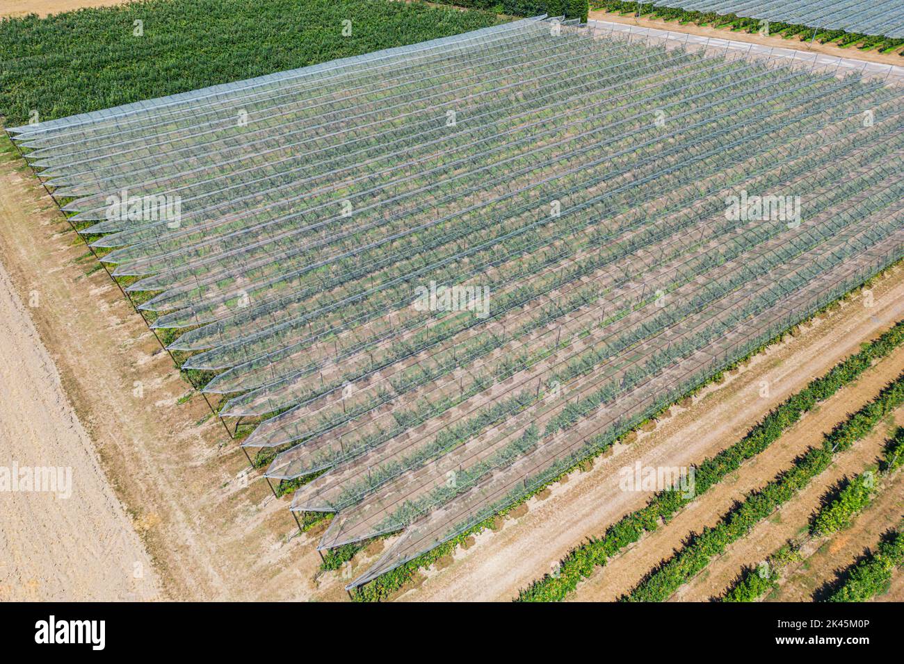 Hail net over apple and pears trees from the air - background Stock Photo