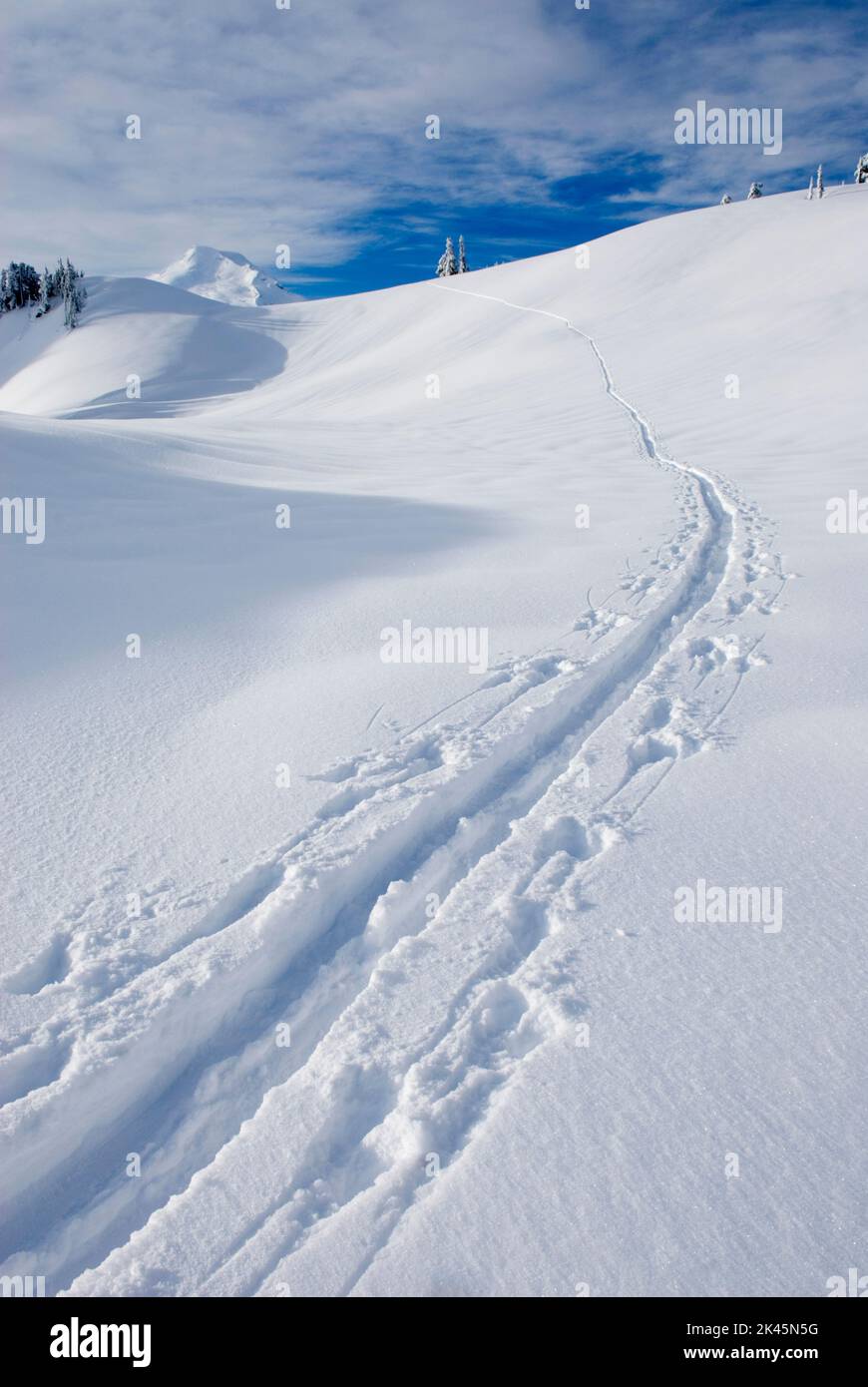 A snow trail made by a cross country skier on the slpoes of Mount Baker in the North Cascades, winter. Stock Photo