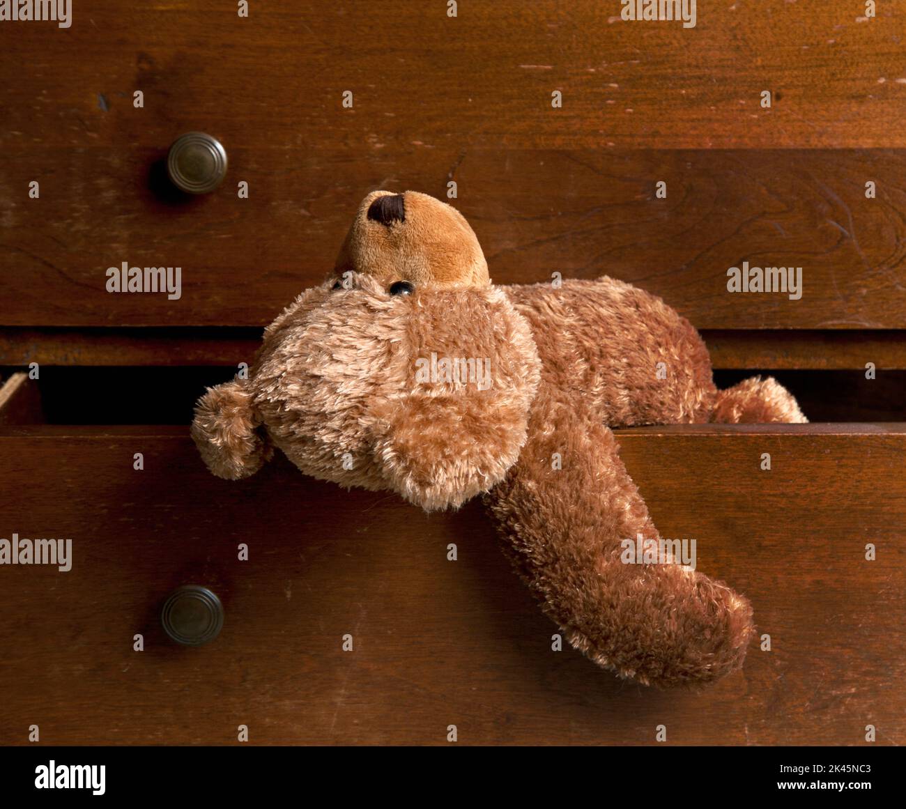 A children's brown soft toy teddy bear hanging out of a drawer. Stock Photo
