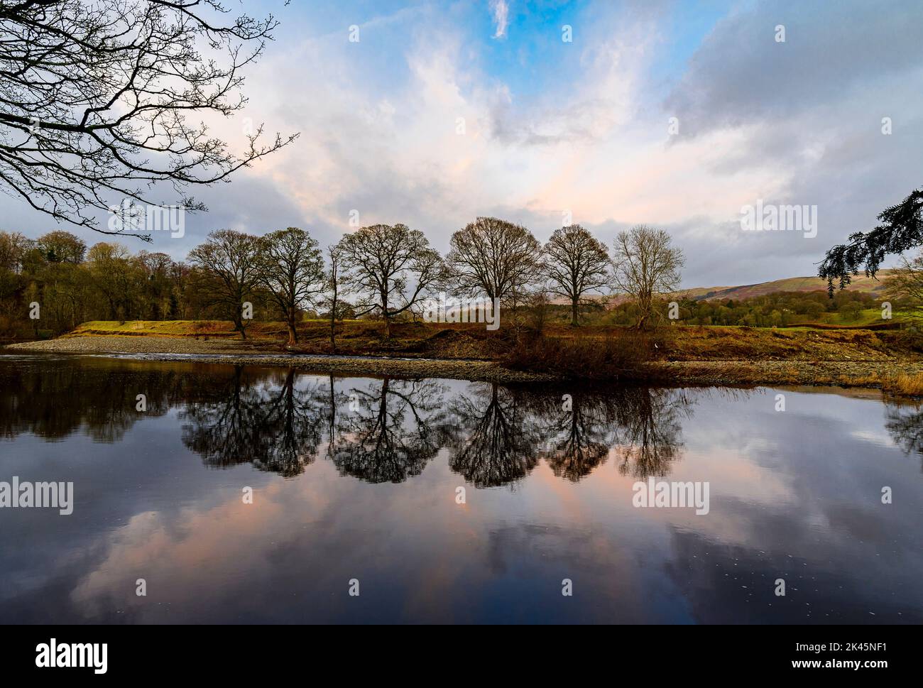 A line of trees on the bank of The River Lune reflected in the water's surface as the sun sets over Lonsdale. Stock Photo