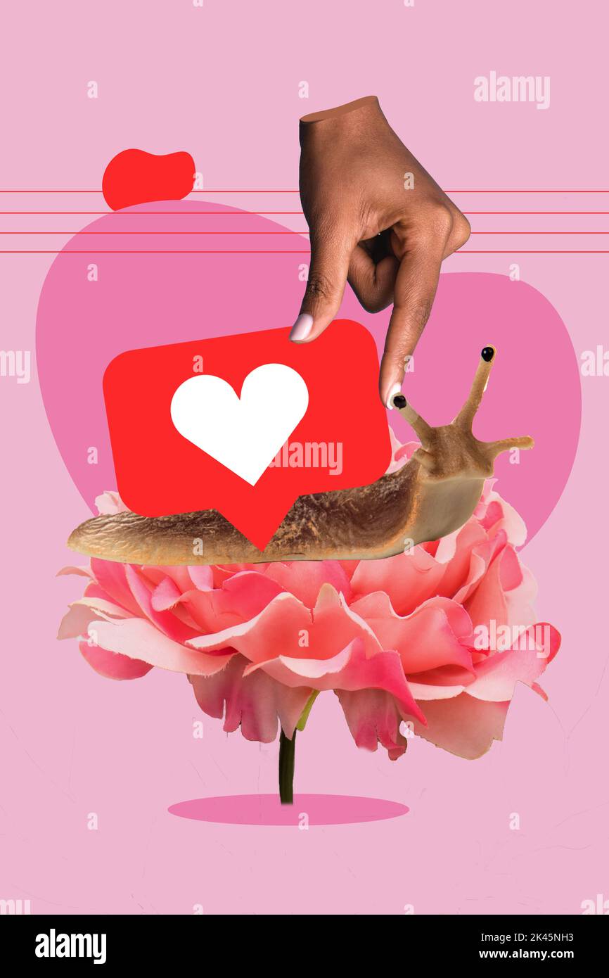 Picture collage of little snail crawl big rose petal with like heart