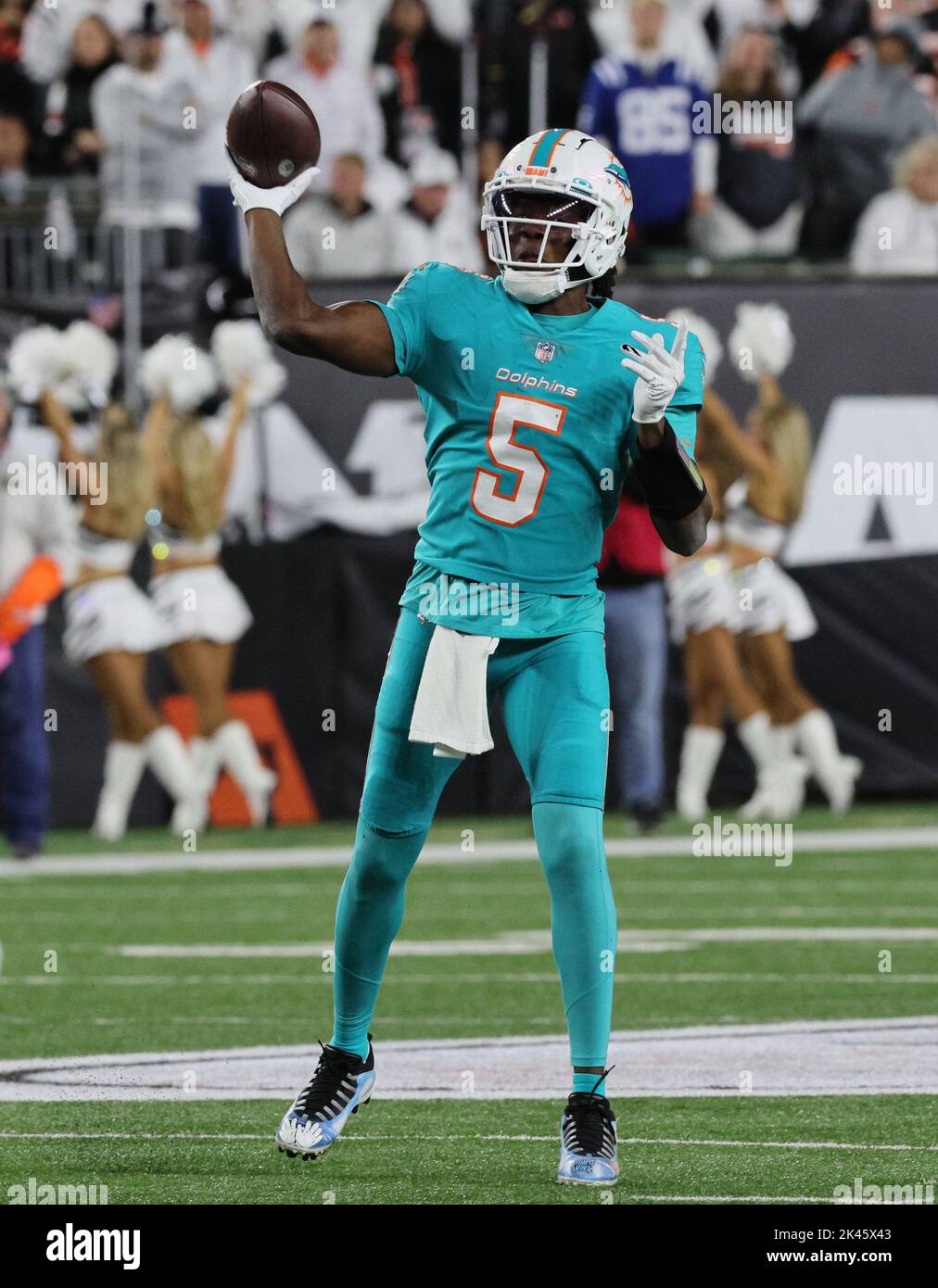 Miami Dolphins quarterback Teddy Bridgewater (5) drops back to attempt a  pass during a NFL football game against the Minnesota Vikings, Sunday,  Oct.16, 2022 in Miami Gardens, Fla. (AP Photo/Alex Menendez Stock