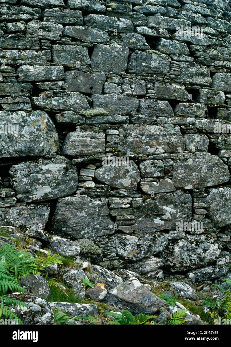 Detail of exterior drystone wall face of Dun Grugaig Iron Age fort in Glen Beag, Glenelg, Lochalsh, Scotland, UK, showing large blocks with fillers. Stock Photo