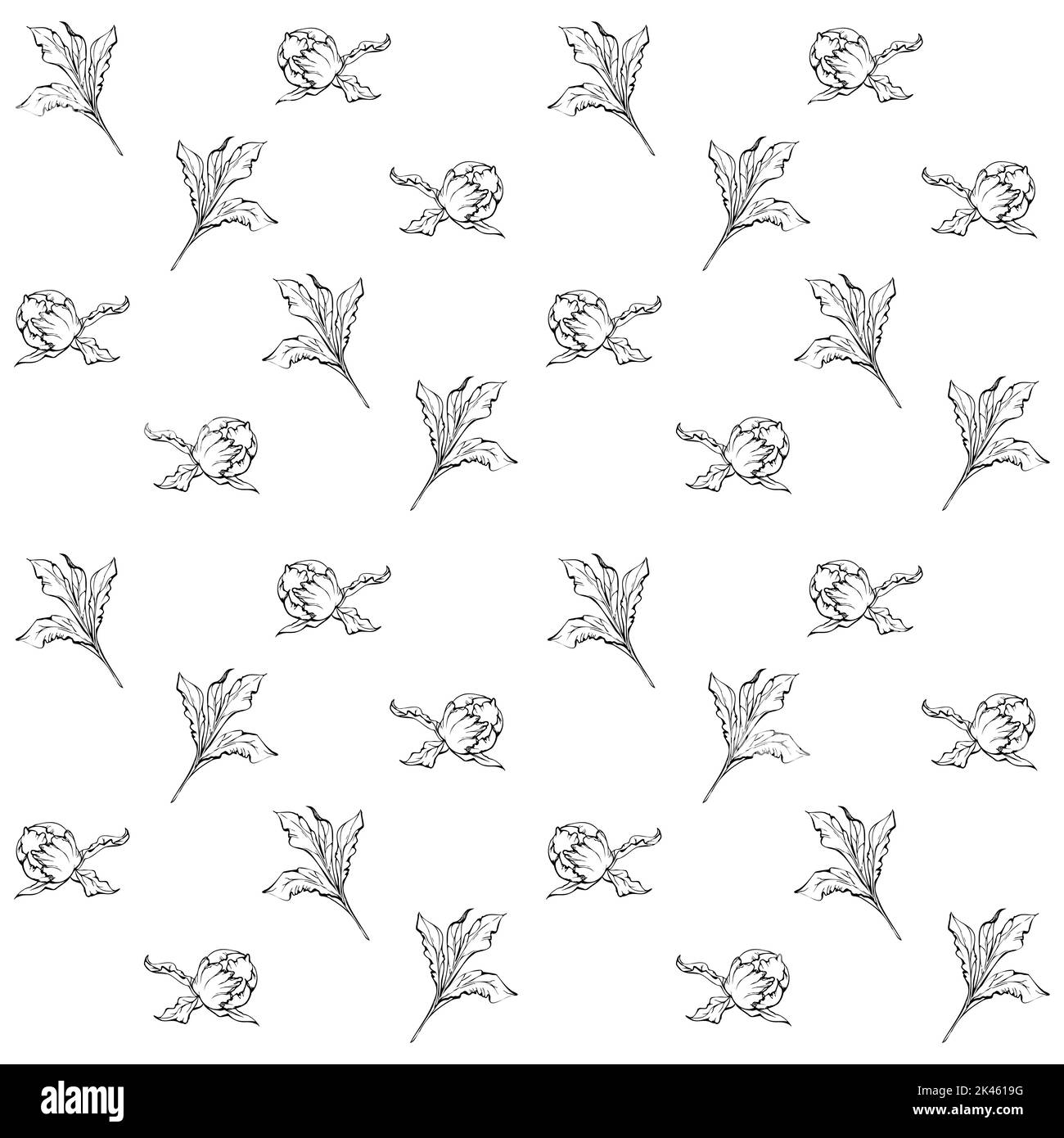 Hand drawn vector seamless pattern with peony flowers, buds and leaves ...