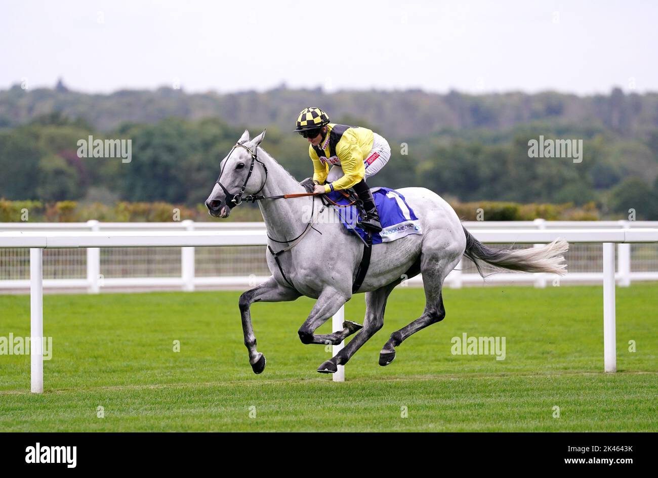 Gumball and Hollie Doyle in action in the Londonmetric Handicap during day one of the Peroni Italia Autumn Racing Weekend at Ascot racecourse. Picture date: Friday September 30, 2022. Stock Photo