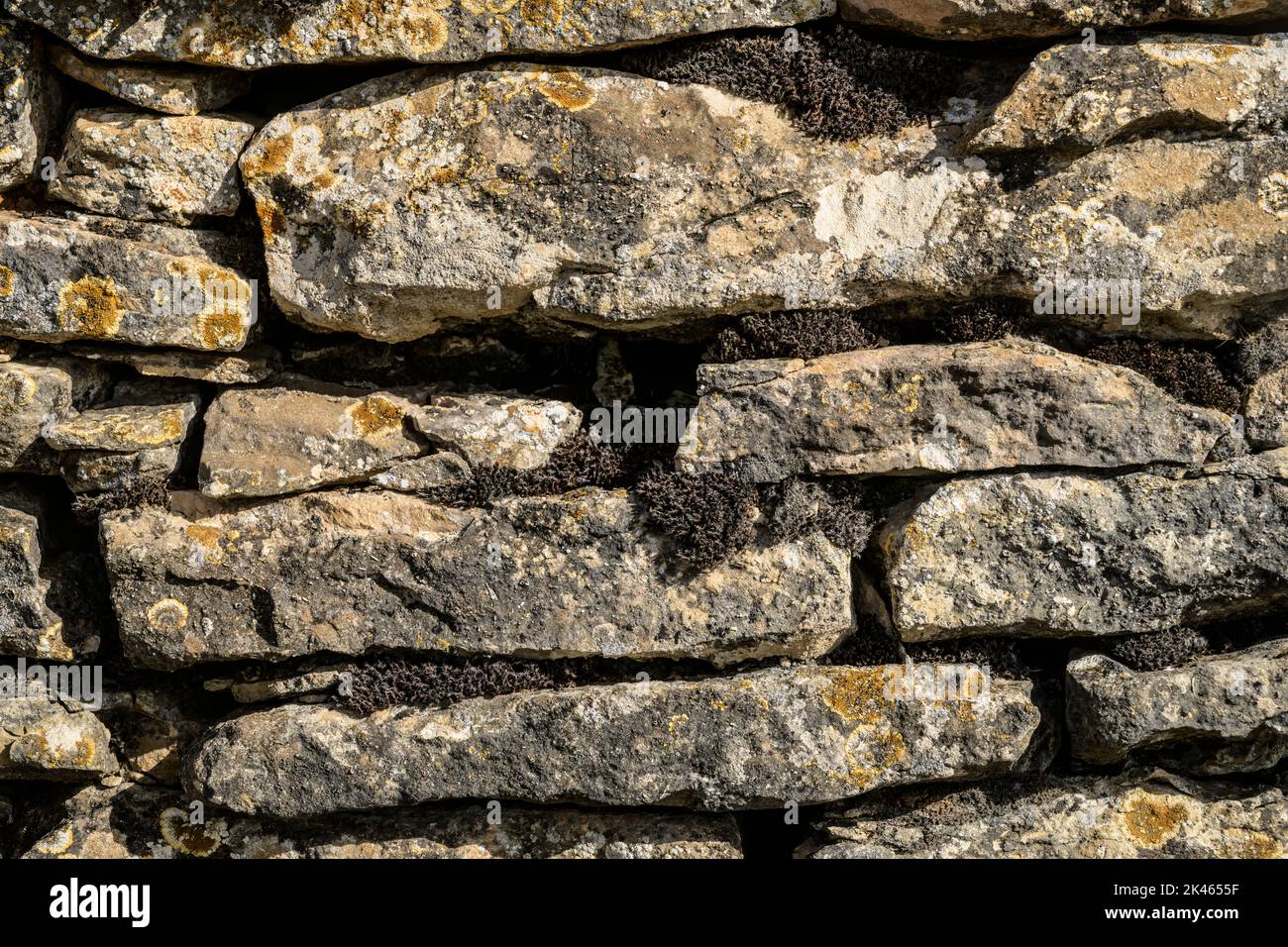 Dry stone walling that encloses some of the vineyards in the Beaune area, Burgundy, France. Stock Photo