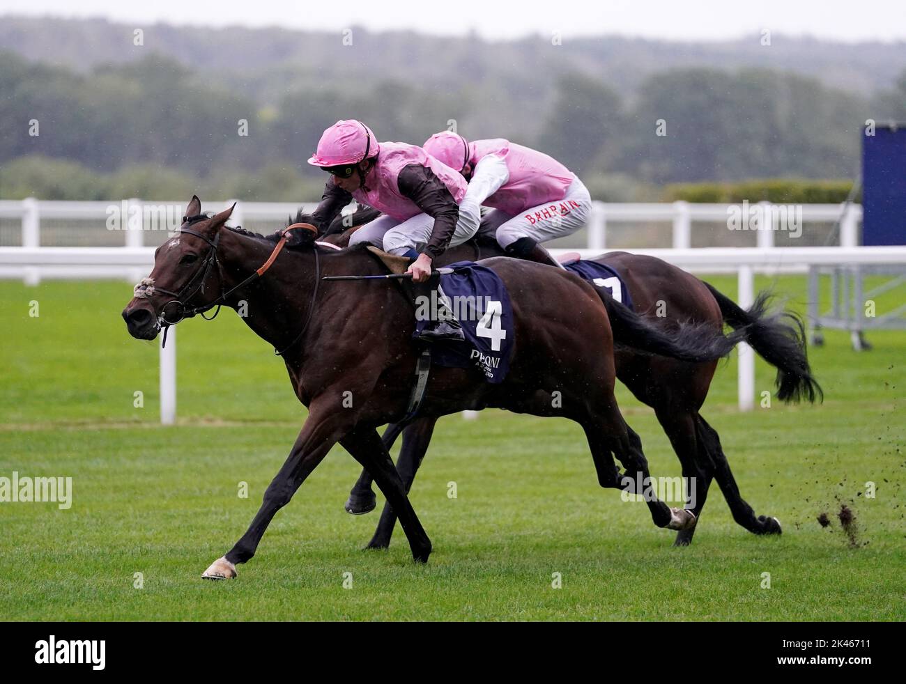 Cadmus and William Buick (near) coming home to won the Peroni Nastro Azzurro Novice Stakes during day one of the Peroni Italia Autumn Racing Weekend at Ascot racecourse. Picture date: Friday September 30, 2022. Stock Photo