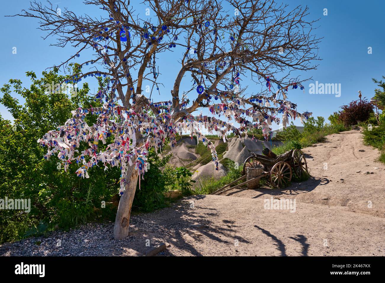 Nazar amulets or blue eyes on a tree at Pigeon Valley, Uchisar, Cappadocia, Anatolia, Turkey Stock Photo