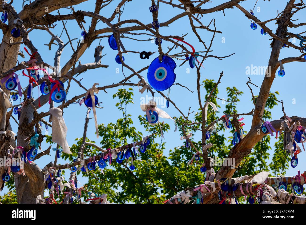 Nazar amulets or blue eyes on a tree at Pigeon Valley, Uchisar, Cappadocia, Anatolia, Turkey Stock Photo