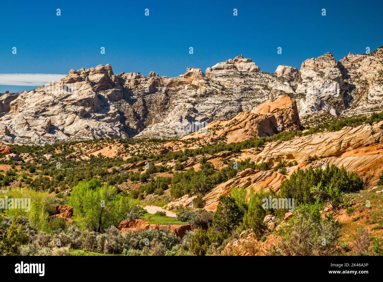 Rocks at Yampa Plateau, Split Mountain in distance, view from Cub Creek Road, Dinosaur National Monument, Utah, USA Stock Photo