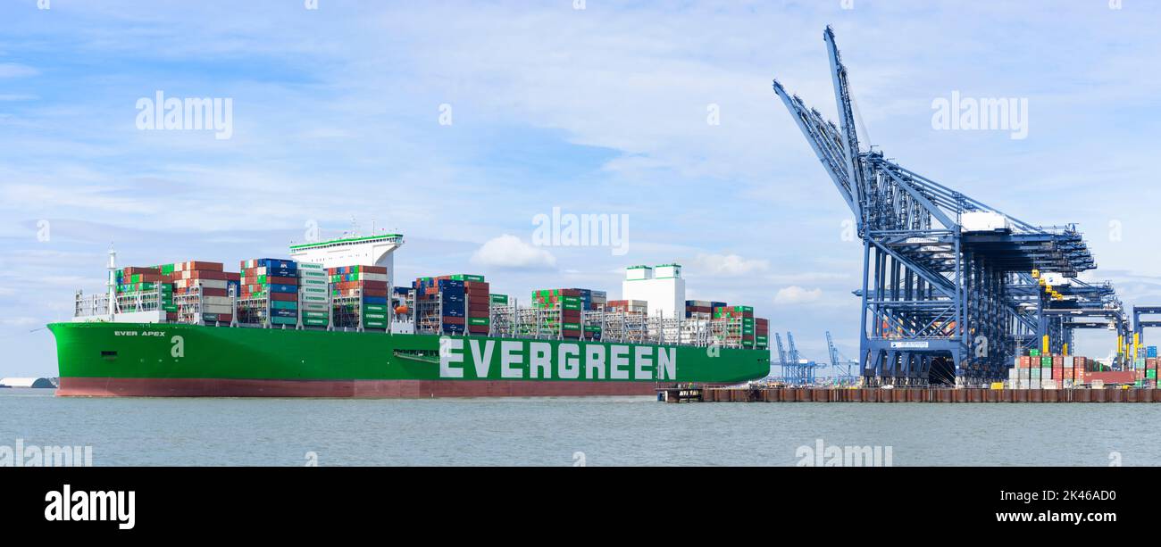 Felixstowe Port The Ever Apex Container Ship Sailing Out Of The Port Of