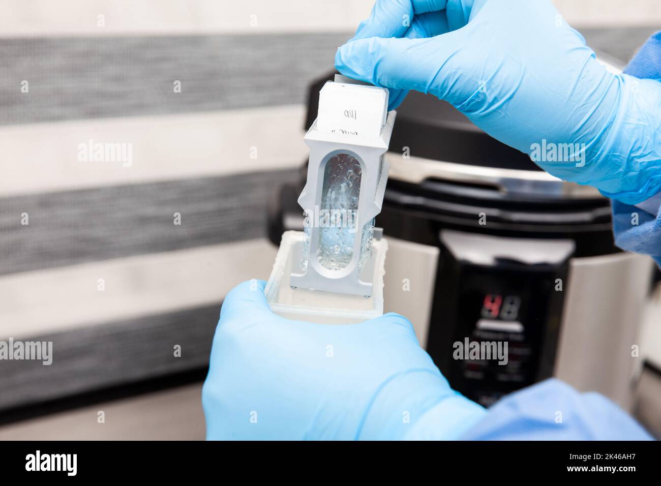 Scientist preparing slides with tissue samples for immunohistochemistry