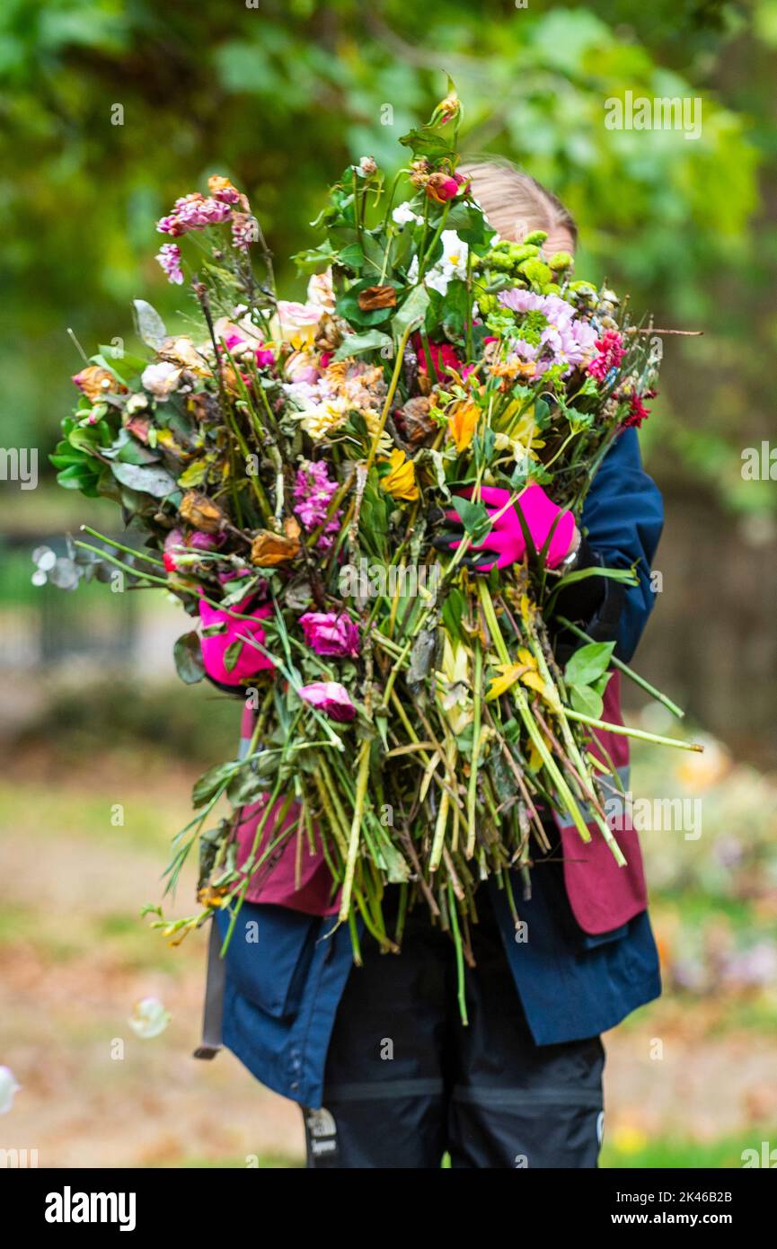 Queen elizabeth ii gardens hires stock photography and images Alamy