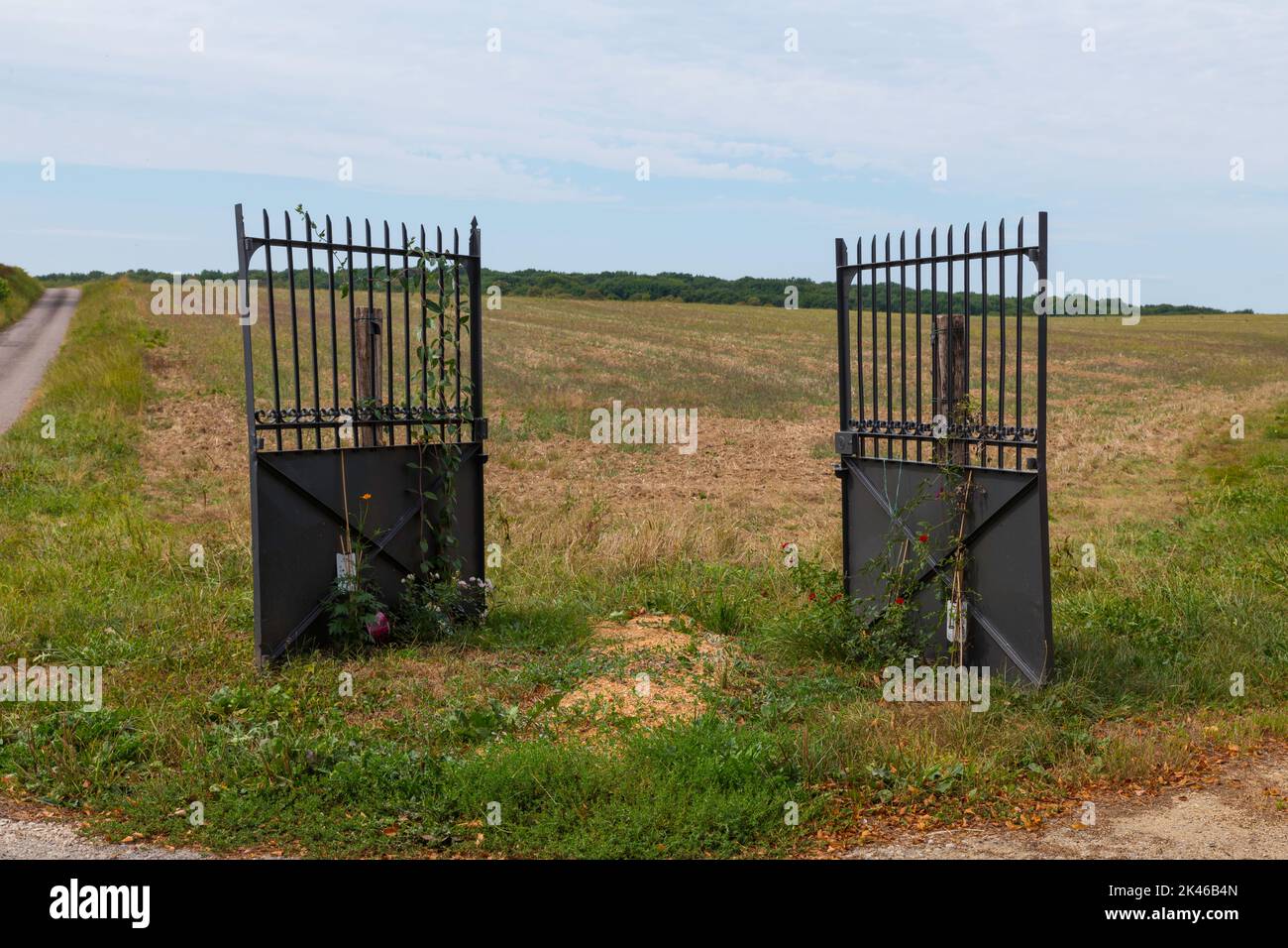 iron gate in the middle of a field in nature with green grass and blue sky Stock Photo