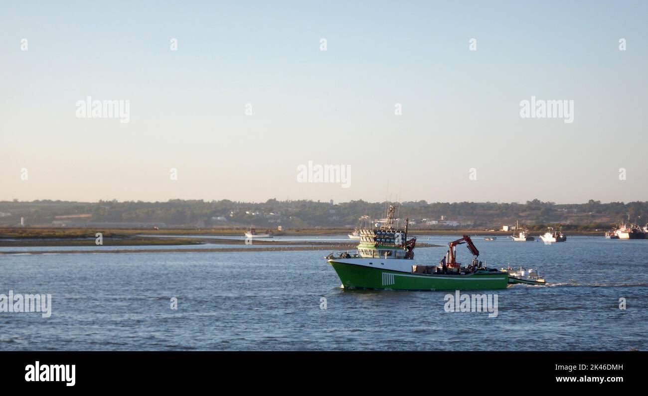 Old Green Plastic Fishing Boat At The Lake In Green Grass Stock Photo -  Download Image Now - iStock