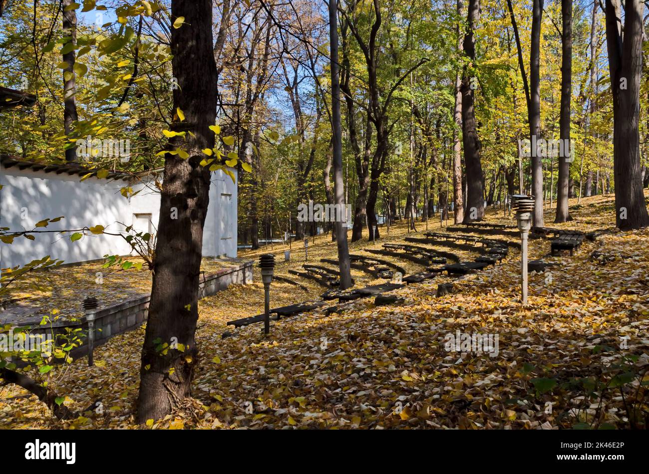 Perennial improvised amphitheater in a colorful autumn forest with branching trees with beautiful leaves, some of which profusely covered the ground, Stock Photo