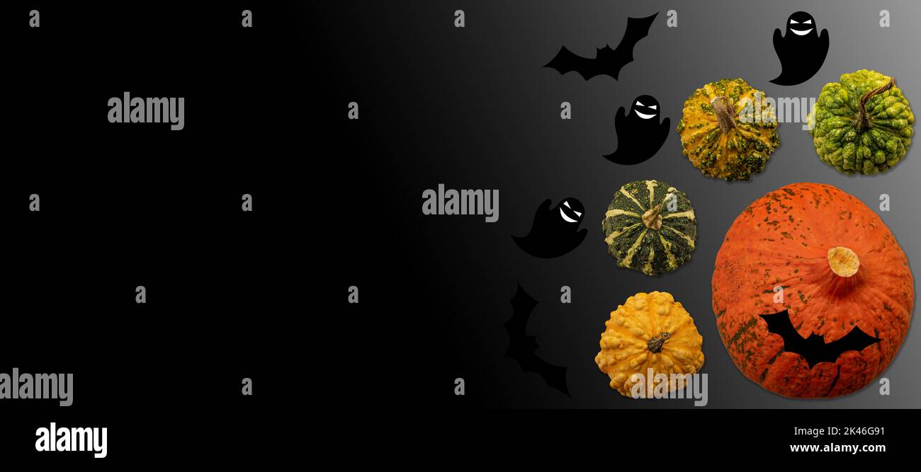 Halloween. Various type of halloween and decorative pumpkins with