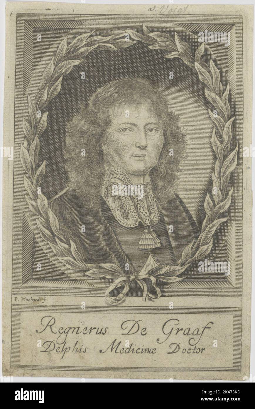 regnerus-de-graaf-hi-res-stock-photography-and-images-alamy