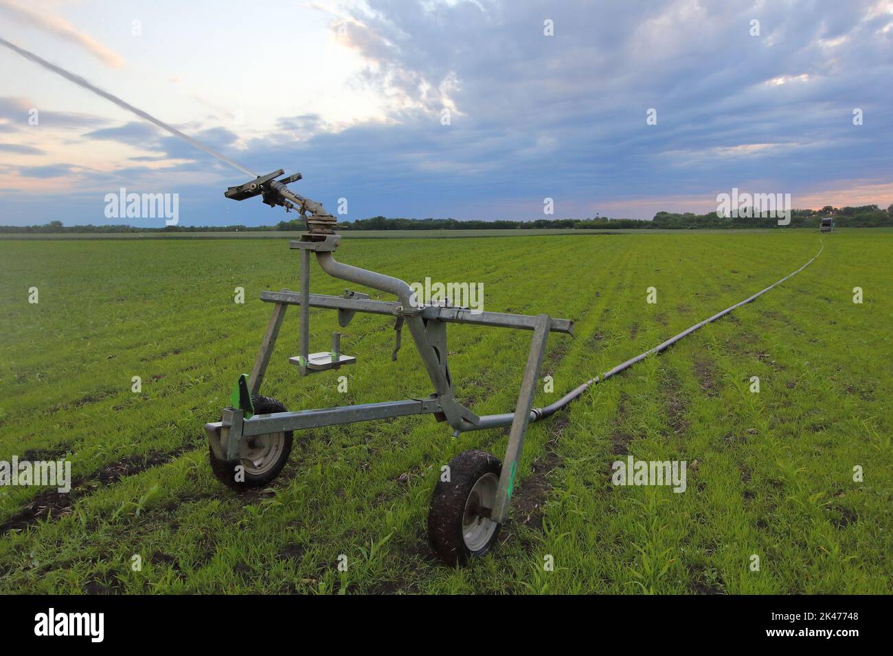 Agricultural Travelling Irrigator or Hose Reel Irrigation Sprinkler Machine on agricultural field on countryside Stock Photo