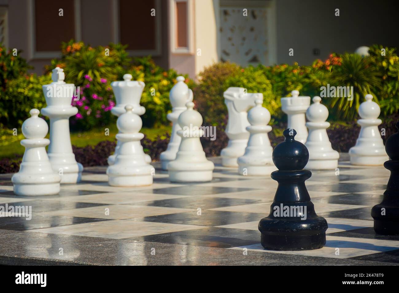 Chessmaster Garry Kasparov Is Determined to Checkmate Vladimir Putin