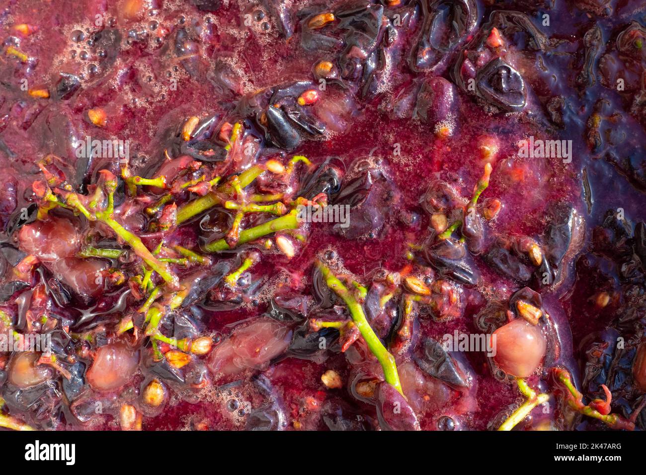 grape pomace after crushing and pressing for making wine. Red pulp