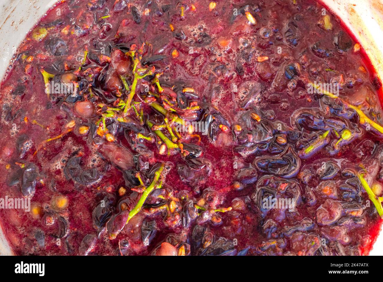 grape pomace in a bucket after being squeezed and pressed to make wine
