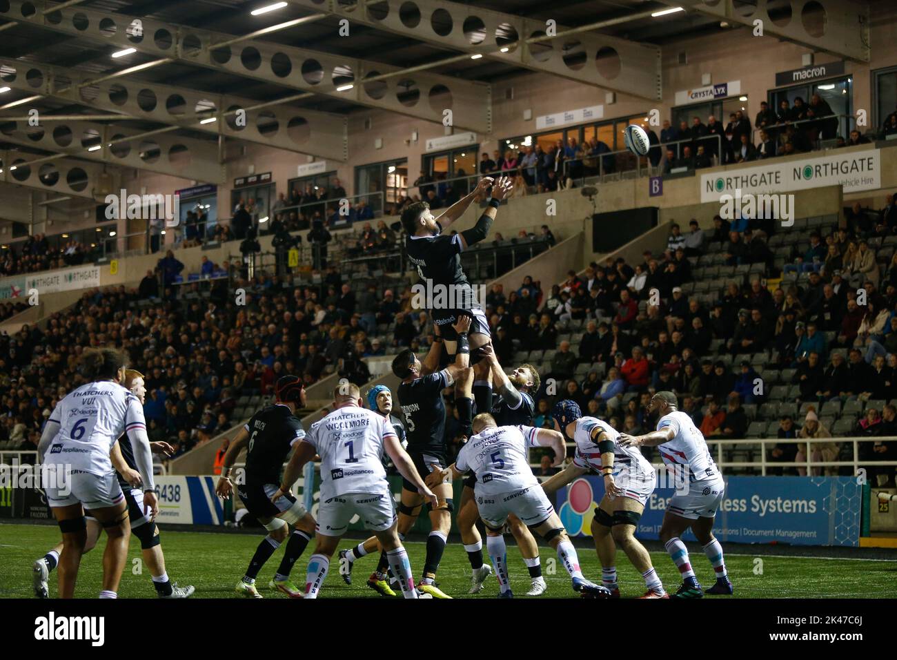 Newcastle, UK. 10th Sep, 2022. Greg Peterson of Newcastle Falcons in line out action during the Gallagher Premiership match between Newcastle Falcons and Bristol at Kingston Park, Newcastle on Friday 30th September 2022. (Credit: Chris Lishman | MI News) Credit: MI News & Sport /Alamy Live News Stock Photo
