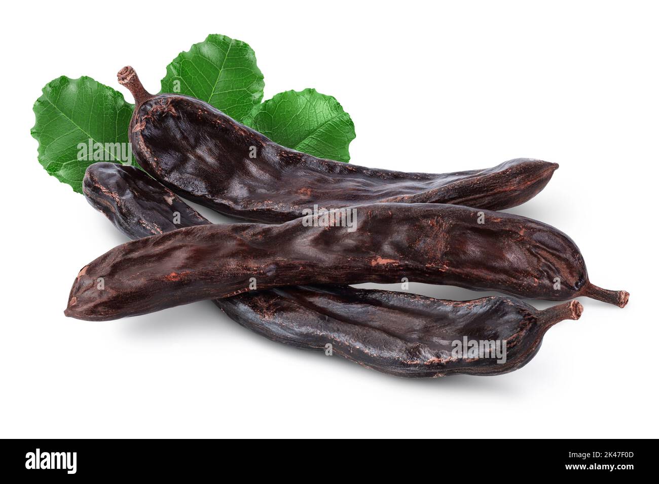 Ripe carob pods isolated on white background with full depth of field