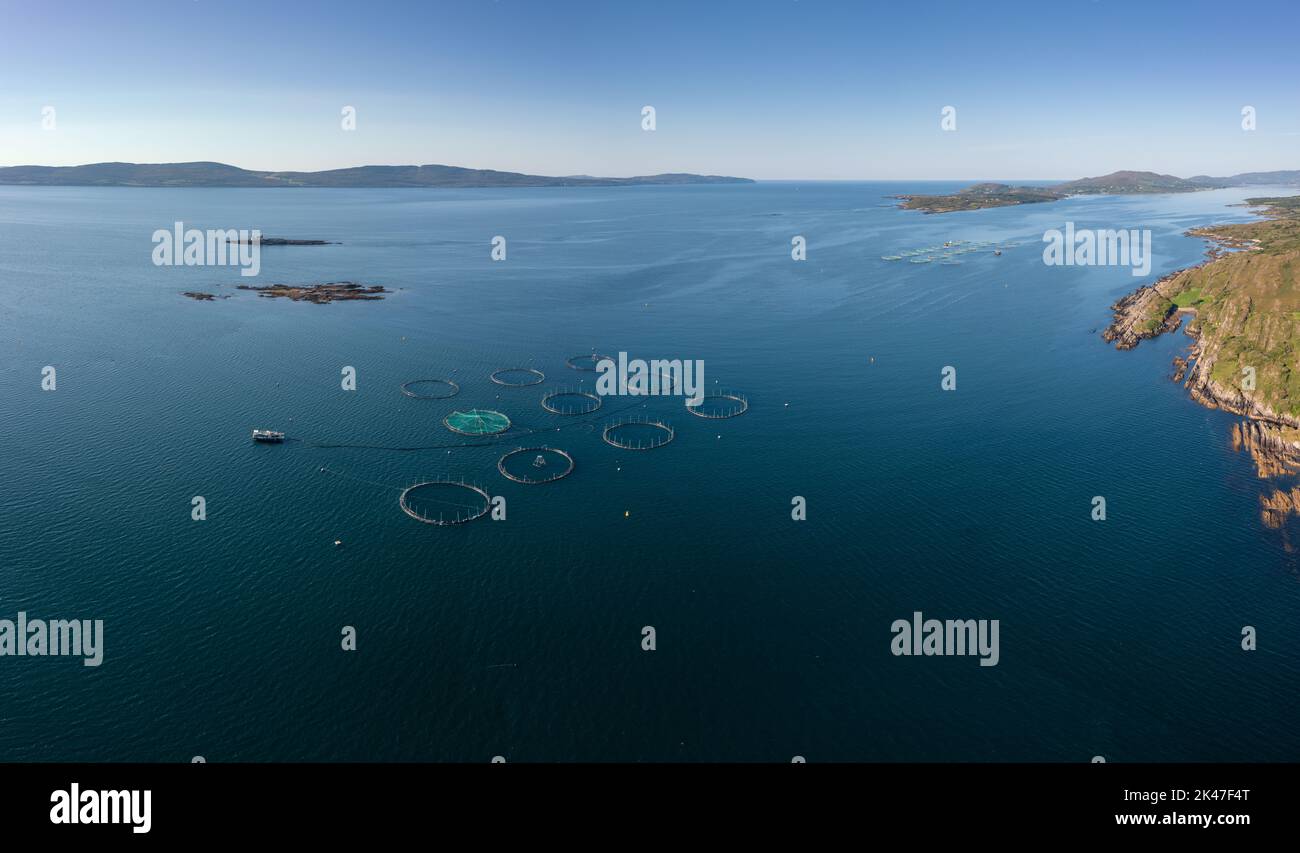 An aerial view of a salmon fish farm in Bantry Bay in County Cork of