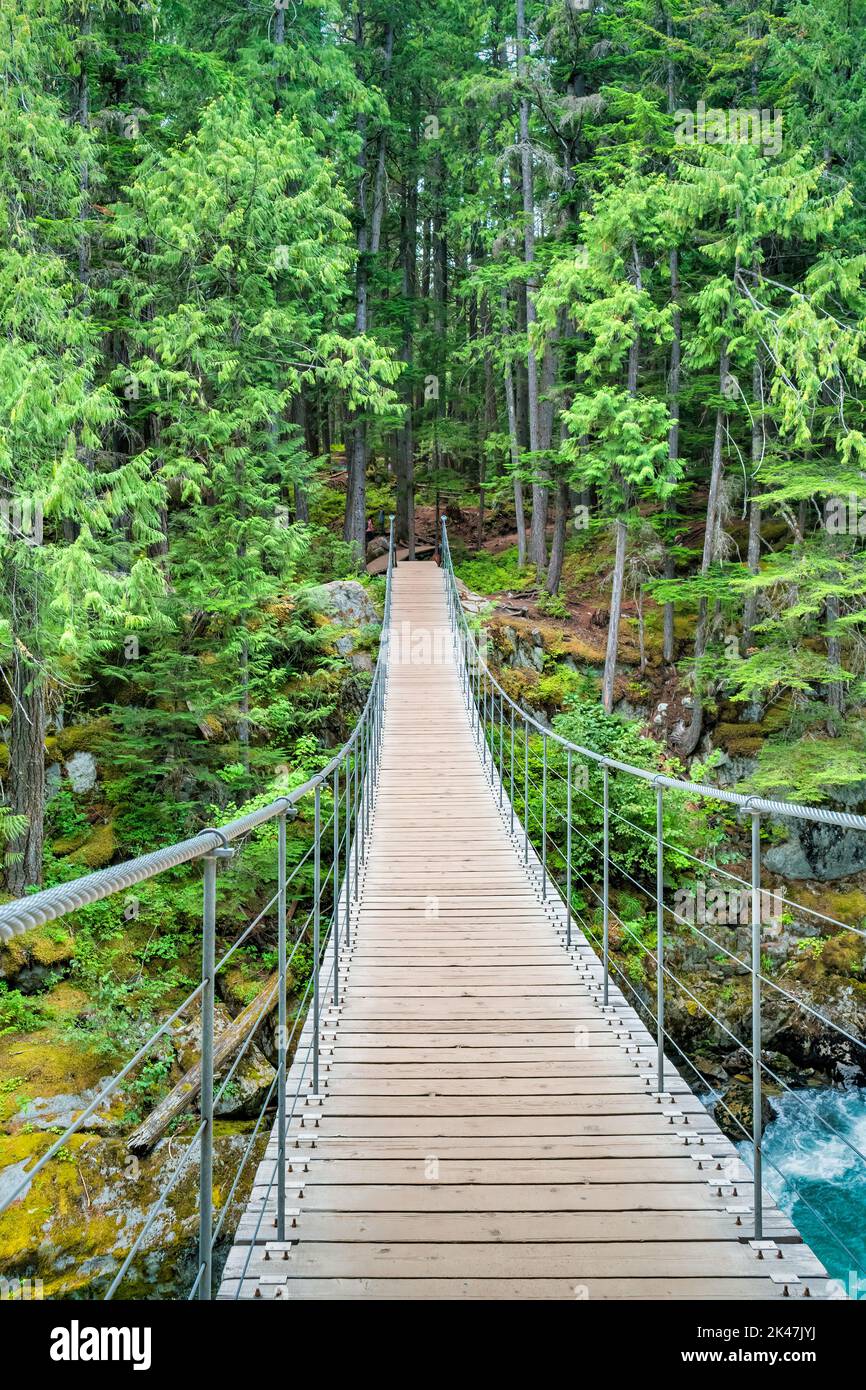 Cheakamus River Suspension Bridge In Whistler BC Canada Stock Photo Alamy
