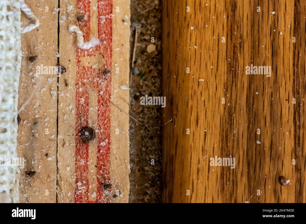 Carpet tack strip exposed during a flooring home improvement project