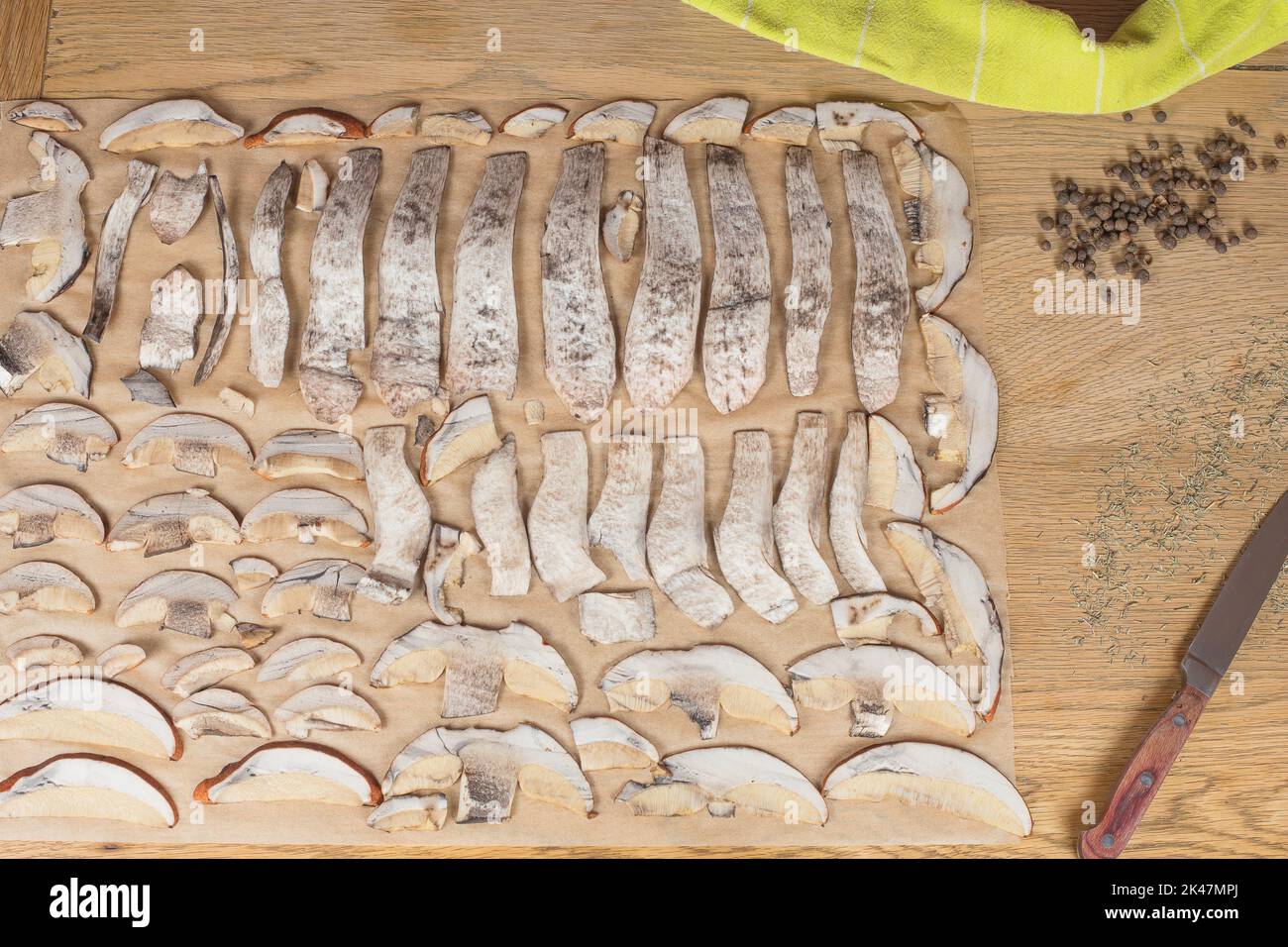 Thinly sliced mushrooms ready to drying. Boletus cutting for long term storage. On the baking paper. Mushroom pieces on the table. Bolete. Stock Photo