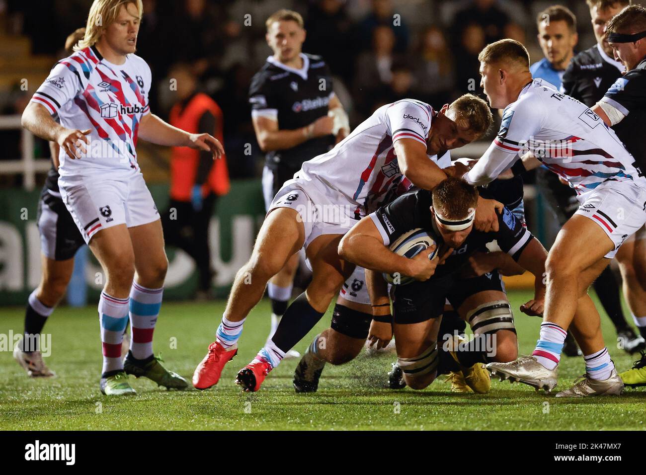 Newcastle, UK. 10th Sep, 2022. Callum Chick of Newcastle Falcons drives forward in the closing ten minutes during the Gallagher Premiership match between Newcastle Falcons and Bristol at Kingston Park, Newcastle on Friday 30th September 2022. (Credit: Chris Lishman | MI News) Credit: MI News & Sport /Alamy Live News Stock Photo