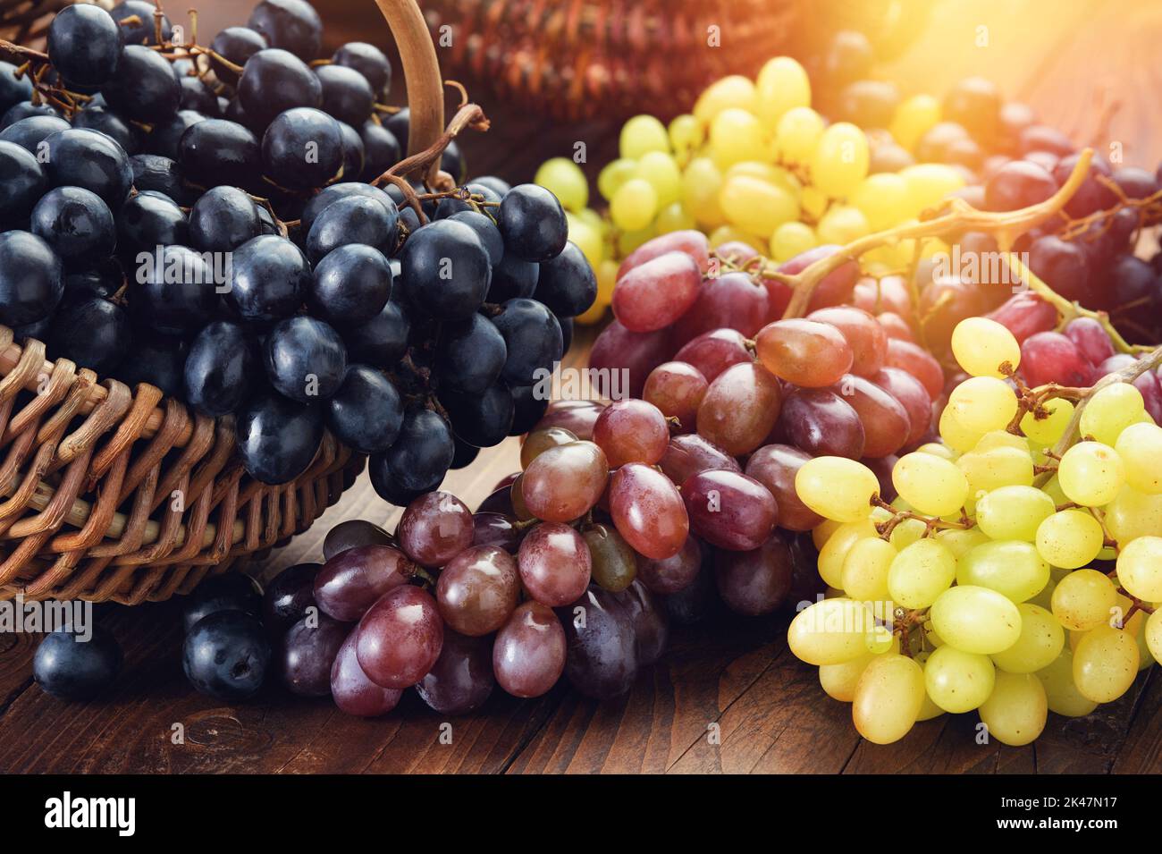 Black, green and purple grapes. Ripe bunches of grapes in a basket and on the table. Stock Photo