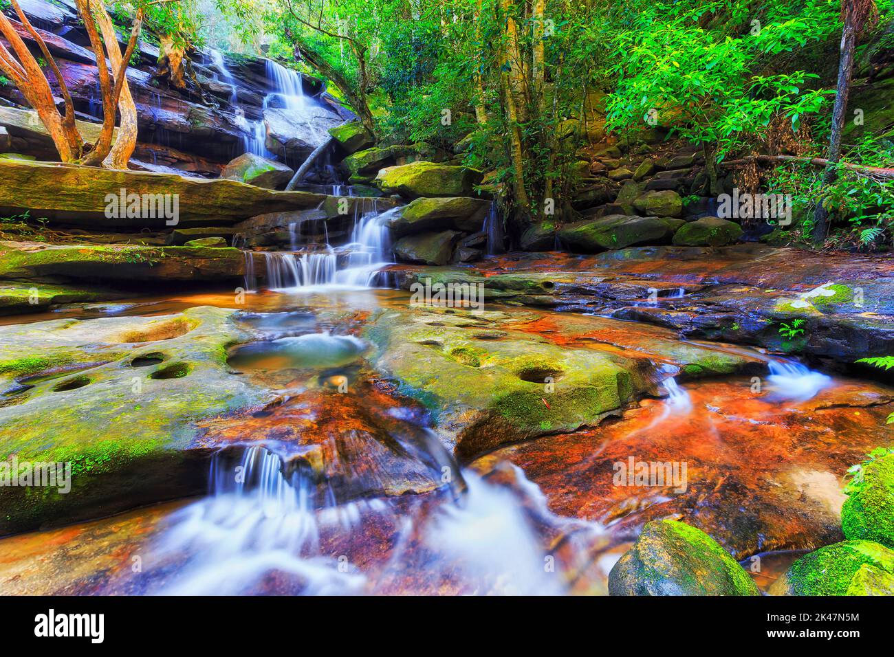 Rainforest waterfall in Somersby on Central coast of Australia - scenic nature landscape. Stock Photo