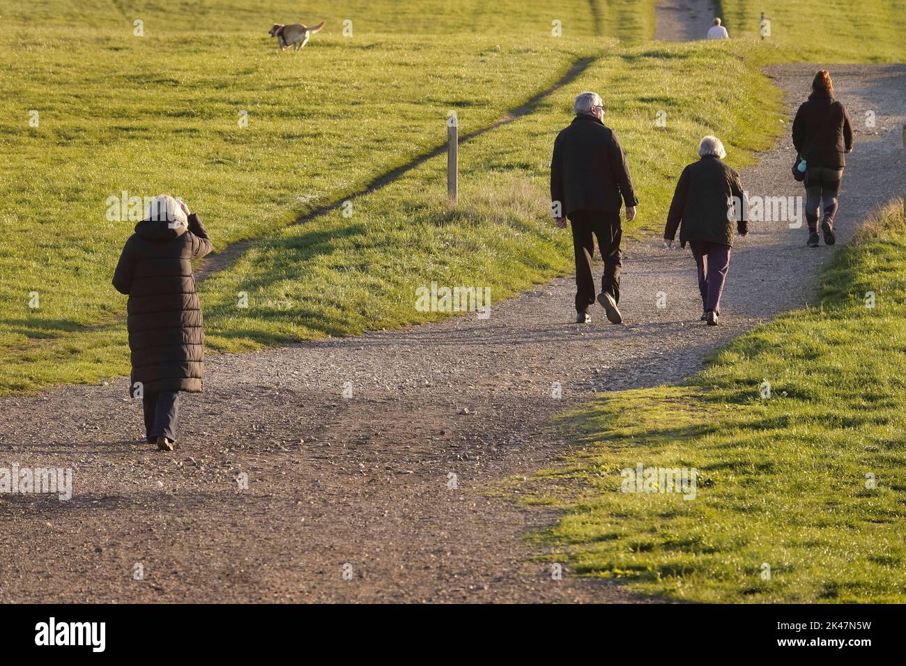 29th-september-2022-epsom-downs-surrey-uk-locals-walk-their-dogs-and