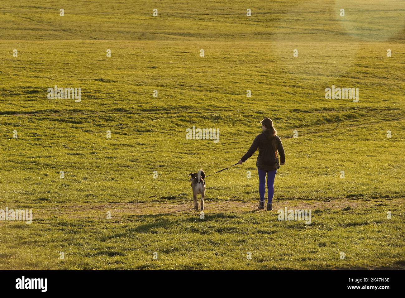 29th-september-2022-epsom-downs-surrey-uk-a-local-woman-walks-her