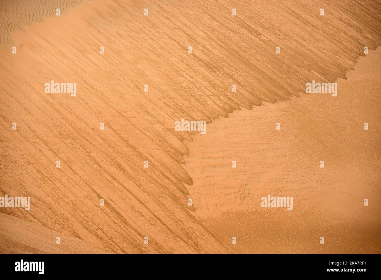Reddish dunes od Wahiba Sands (Sharqiya Sands) desert in southern east ...