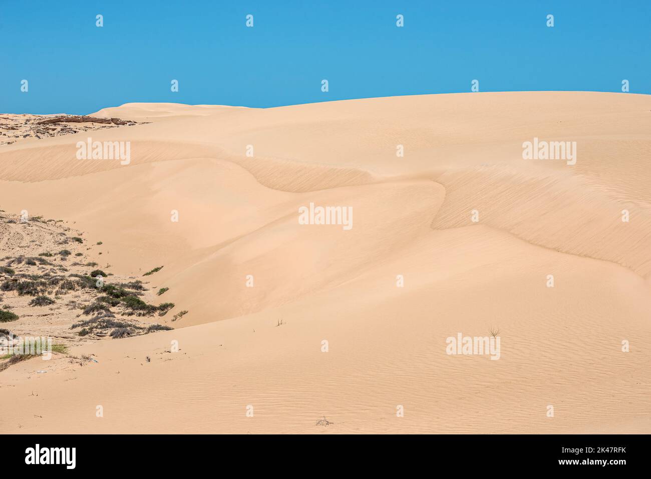 Reddish dunes od Wahiba Sands (Sharqiya Sands) desert in southern east Oman Stock Photo