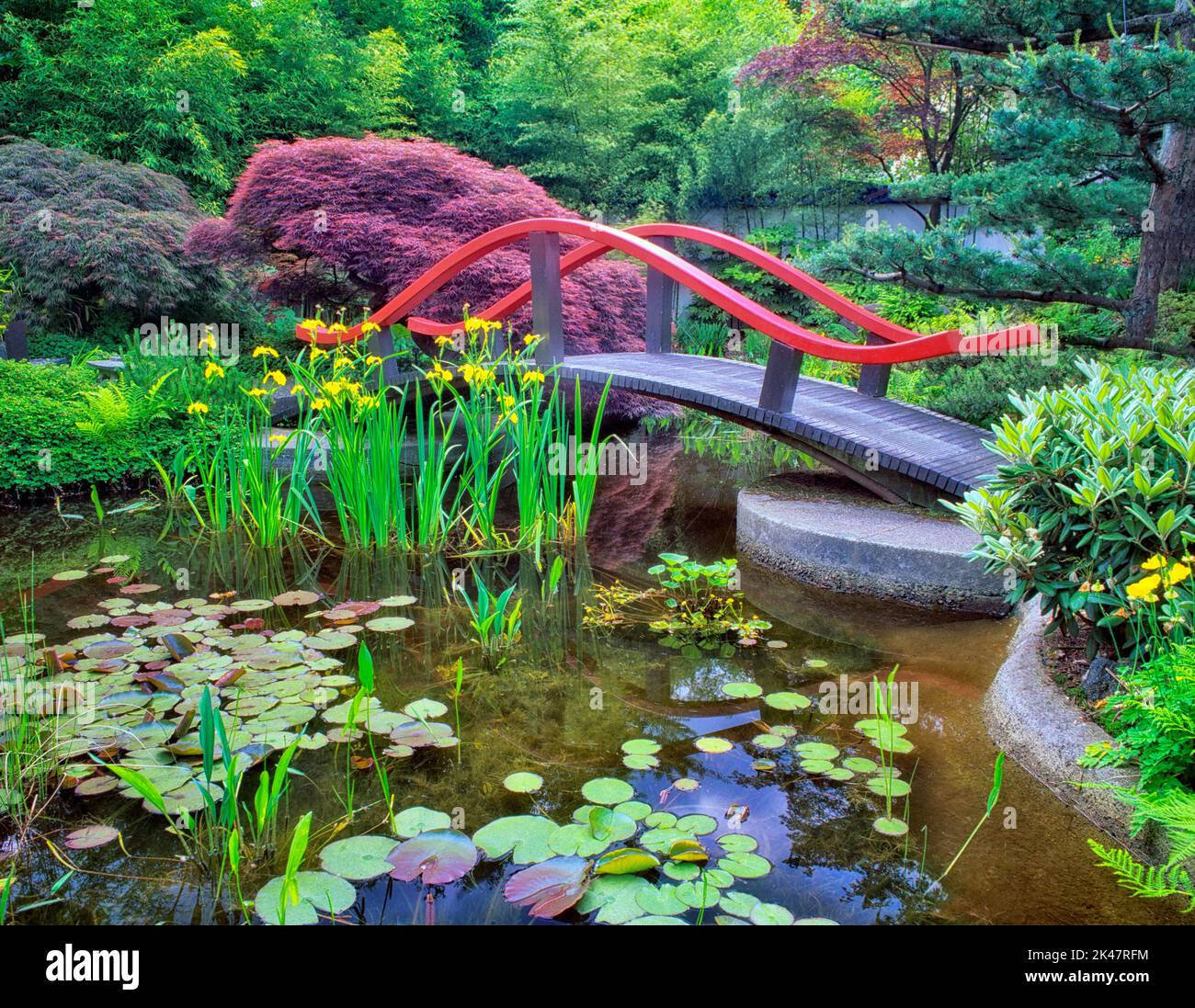 Bridge , pond and water lilies.  Park and Tilford Garden. Vancouver, BC Park and Tilford Garden. Vancouver, BC Stock Photo