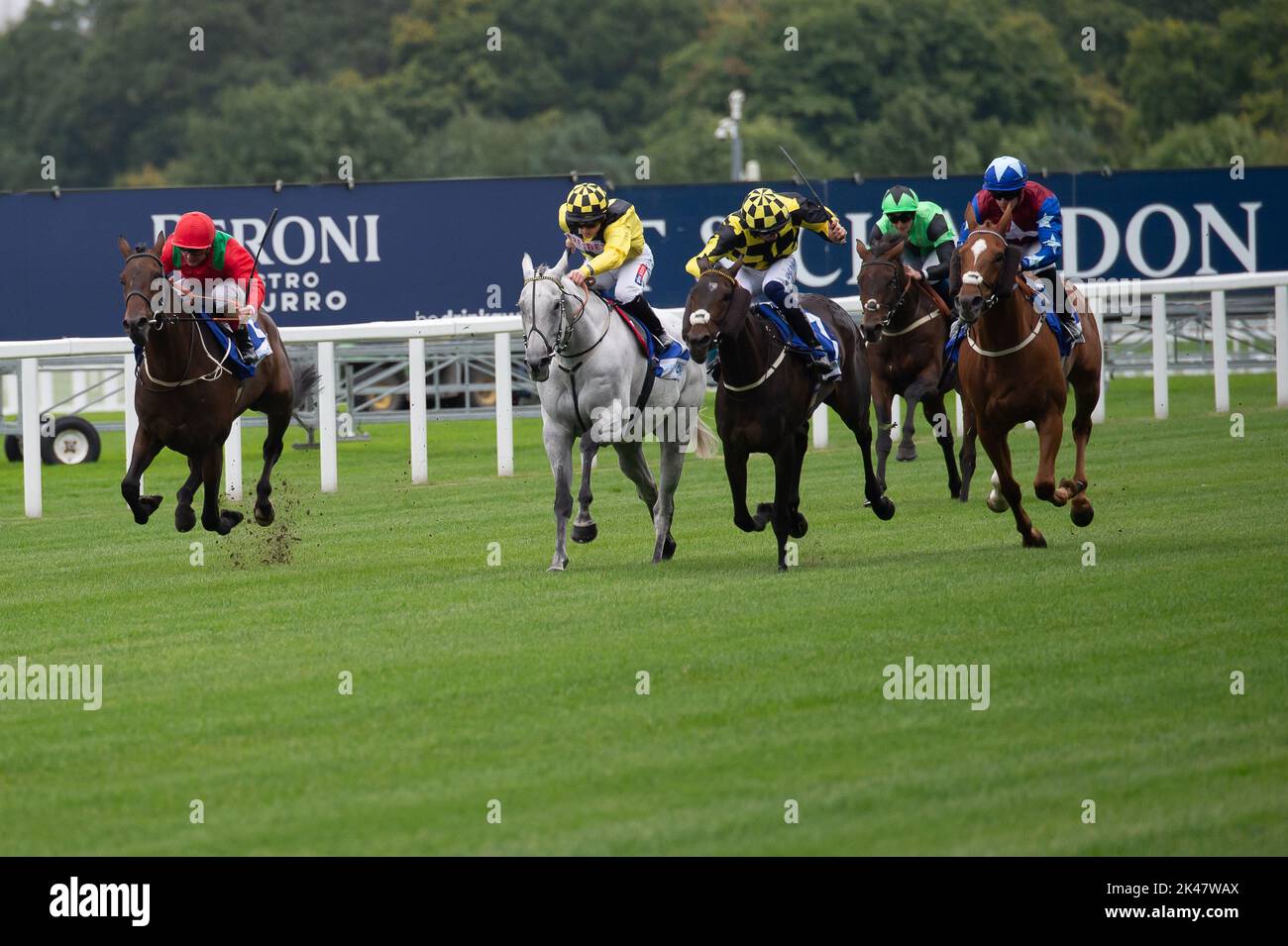 Ascot, Berkshire, UK. 30th September, 2022. Horse Temporize ridden by jockey Andrea Atzoni leads in in the last mile of the LondonMetric Handicap Stakes at Ascot Racecourse on the first day of the Autumn Racing Weekend. Credit: Maureen McLean/Alamy Live News Stock Photo