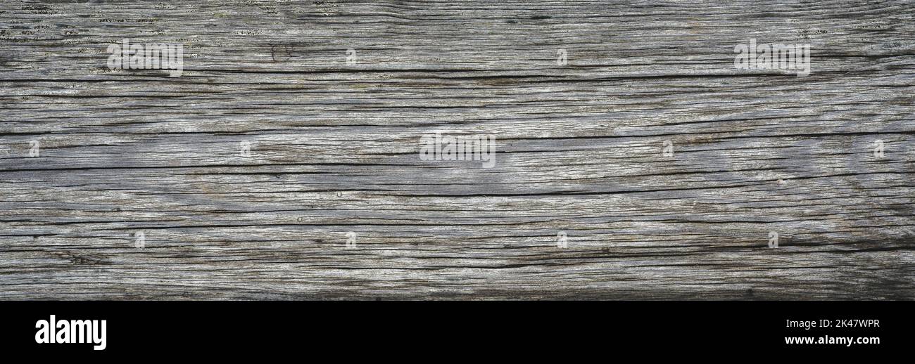 Wood barn plank background, old rough wooden board, top view. Weathered dirty timber with cracks and grain. Vintage rustic gray wood. Template, textur Stock Photo
