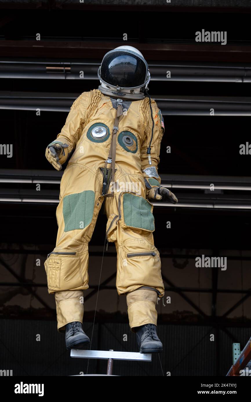 Ox Female Astronaut