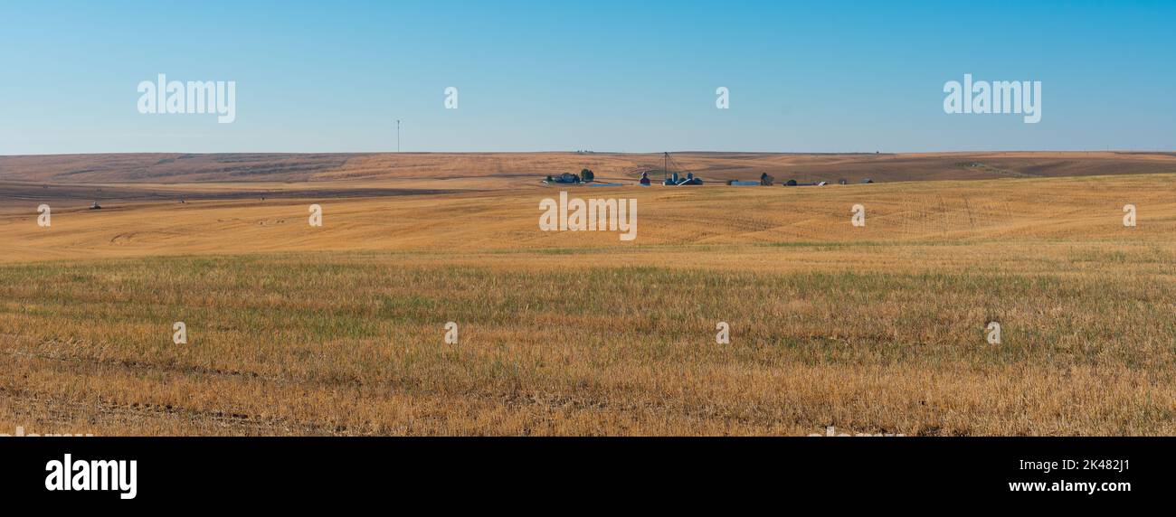 A harvested farm in late summer in the US state of Washington Stock Photo