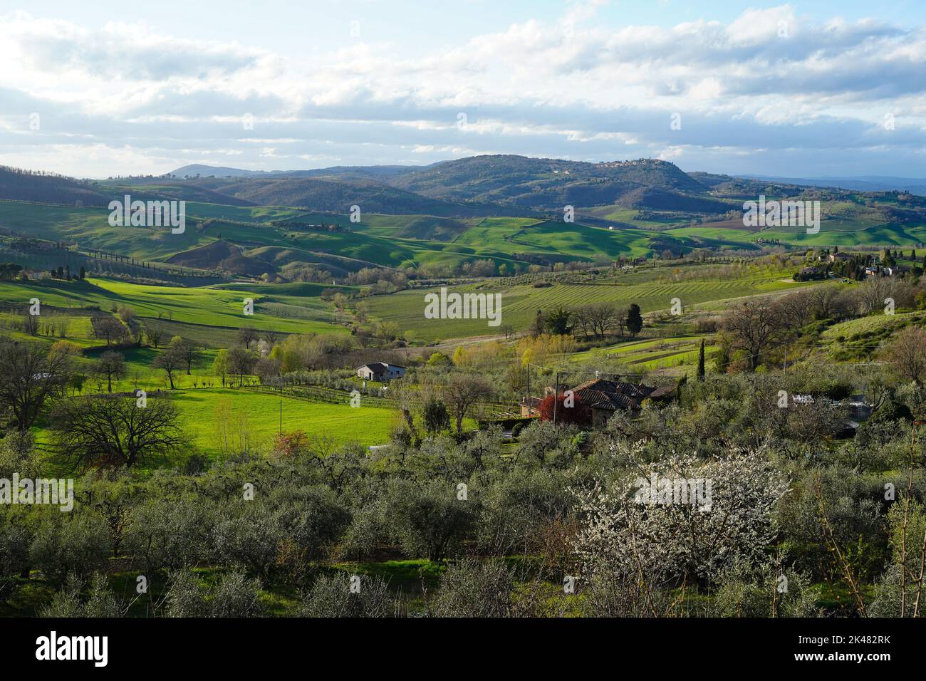 Rolling hills in the Tuscan countryside near Montepulciano Stock Photo
