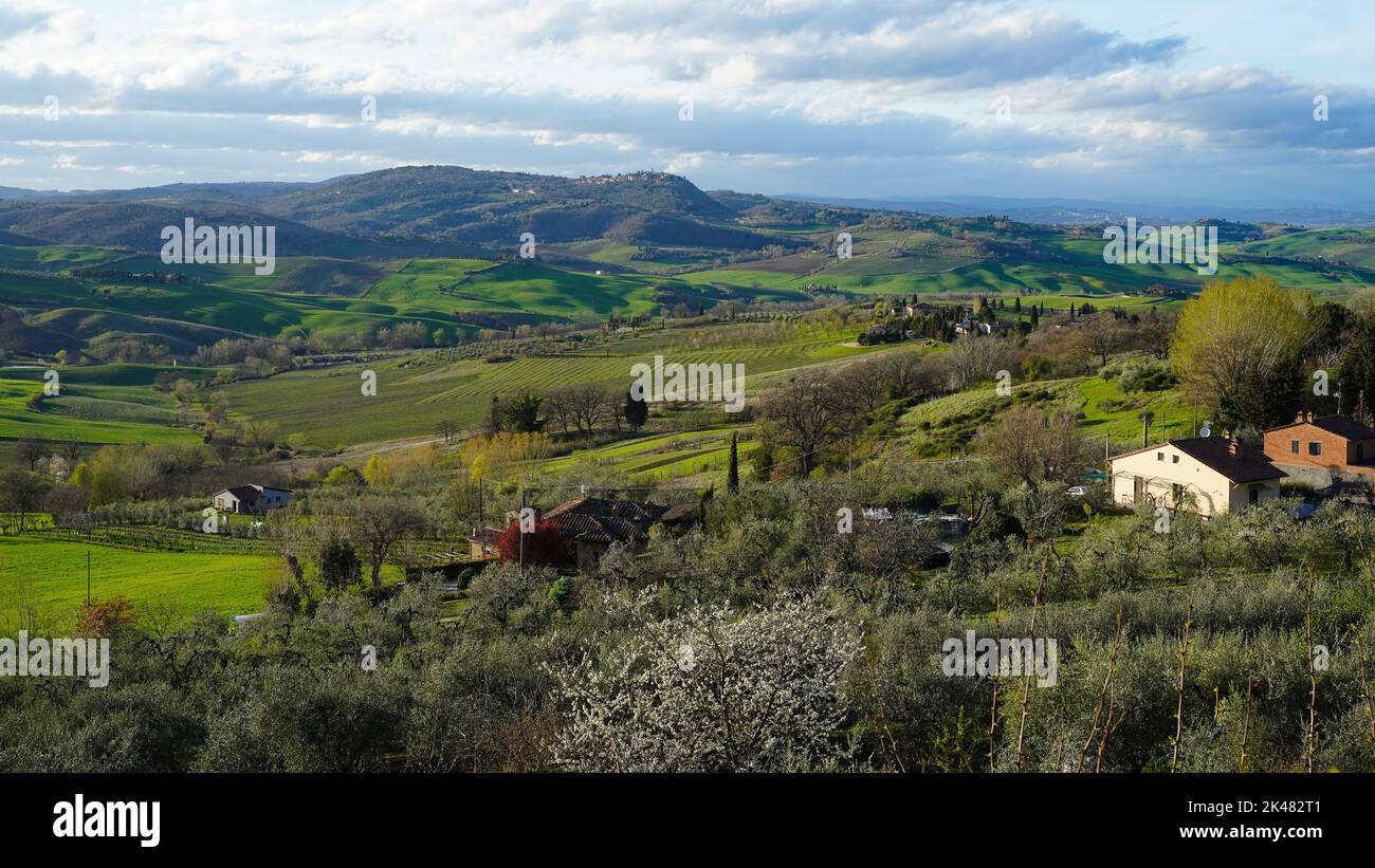 Rolling hills in the Tuscan countryside near Montepulciano Stock Photo