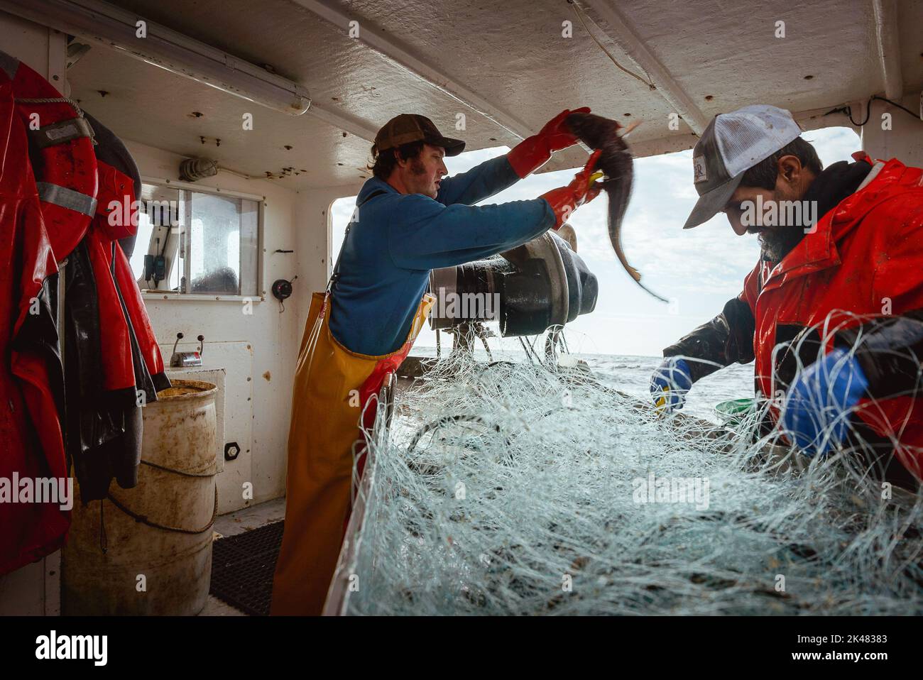 On board a commercial fishing boat, a crew member throws a pollock fish while another sorts