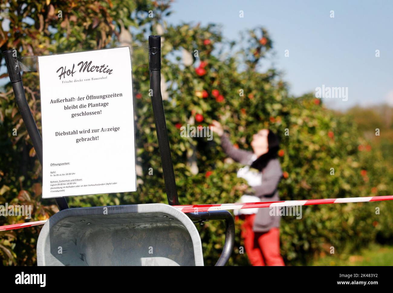 Dortmund, Germany. 29th Sep, 2022. Tina Höfer from the Mertin farm tries to protect her apple orchard with a warning sign and flutter tape. Fruit and vegetable thieves worry many farmers. Sometimes perpetrators came to the field at night with trailers or vans and packed them full. (to dpa: 'Stealing apples with a trailer - fruit thieves cause farmers problems') Credit: Roland Weihrauch/dpa/Alamy Live News Stock Photo