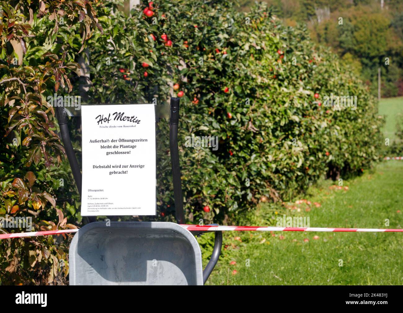 Dortmund, Germany. 29th Sep, 2022. Tina Höfer from the Mertin farm tries to protect her apple orchard with a warning sign and flutter tape. Fruit and vegetable thieves worry many farmers. Sometimes perpetrators came to the field at night with trailers or vans and packed them full. (to dpa: 'Stealing apples with a trailer - fruit thieves cause farmers problems') Credit: Roland Weihrauch/dpa/Alamy Live News Stock Photo